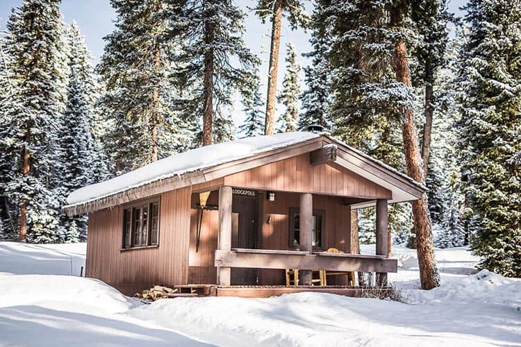 | lodgepole low res
