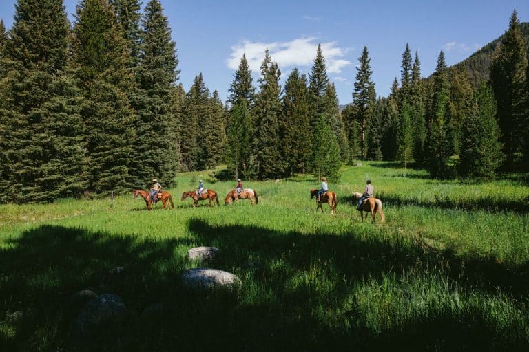 Horses at Lone Mountain Ranch | Lone Mountain Ranch