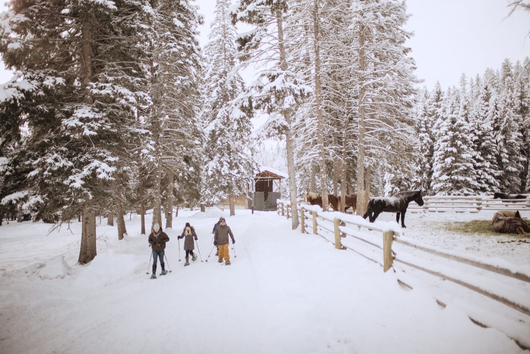 | Lone Mountain Ranch winter 2019 teri b photography 1004740