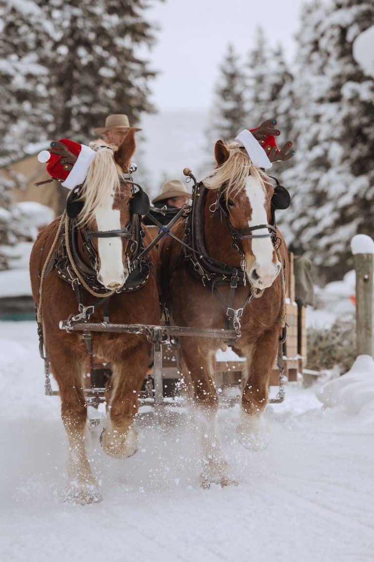 Winter Holiday Discovery | Lone Mountain Ranch