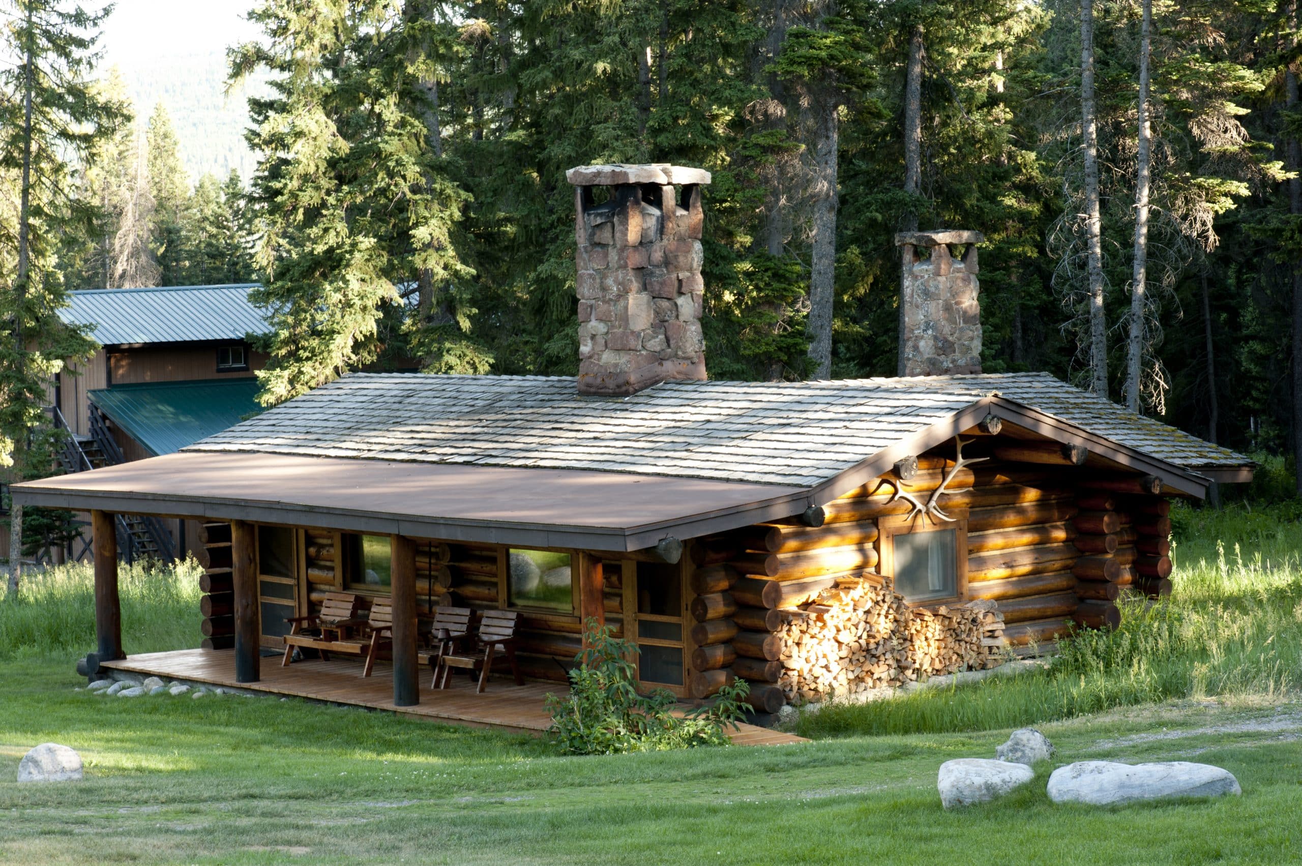 | 17. Black Bear scaled