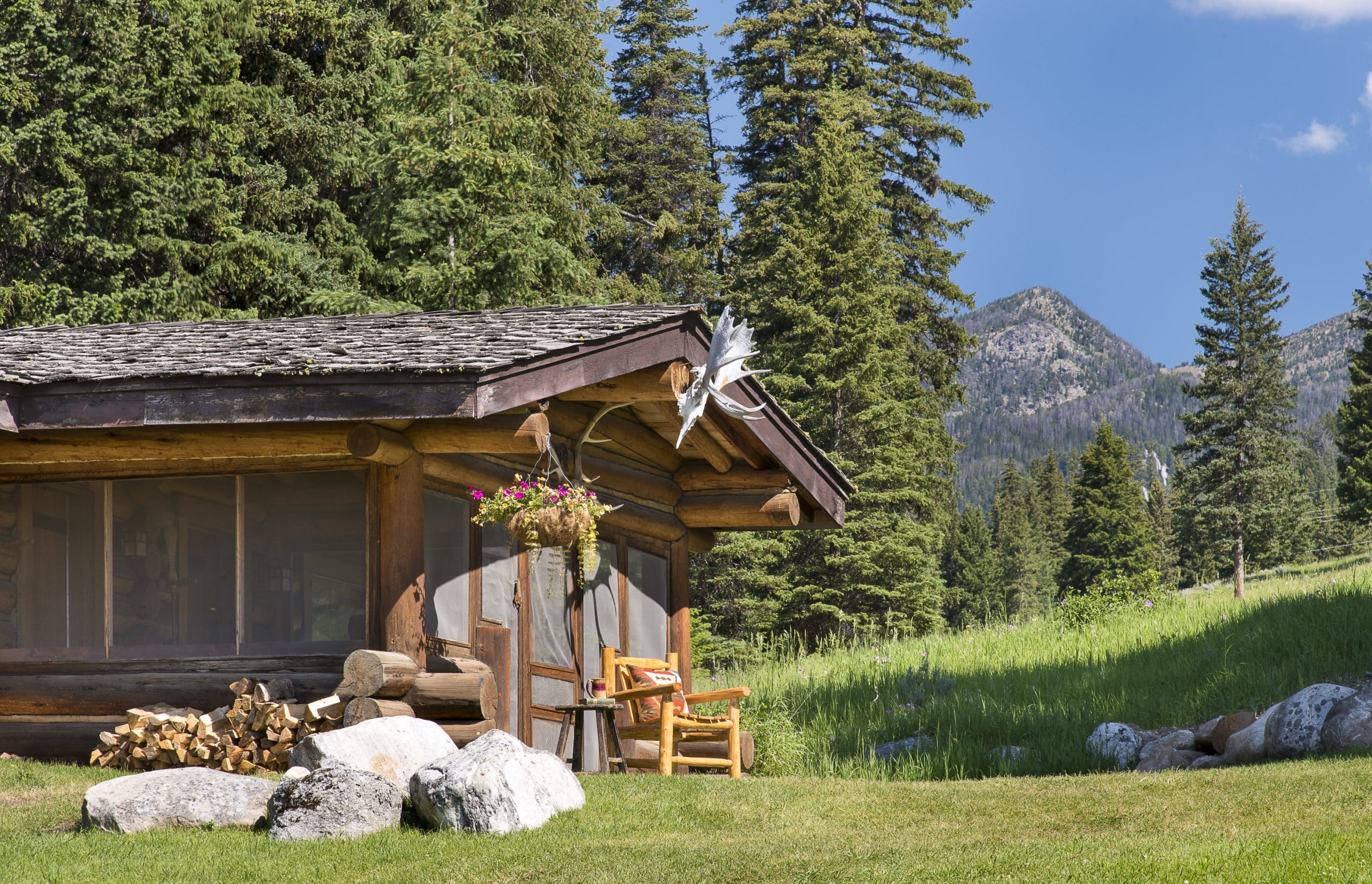 | Bull Moose 2 scaled