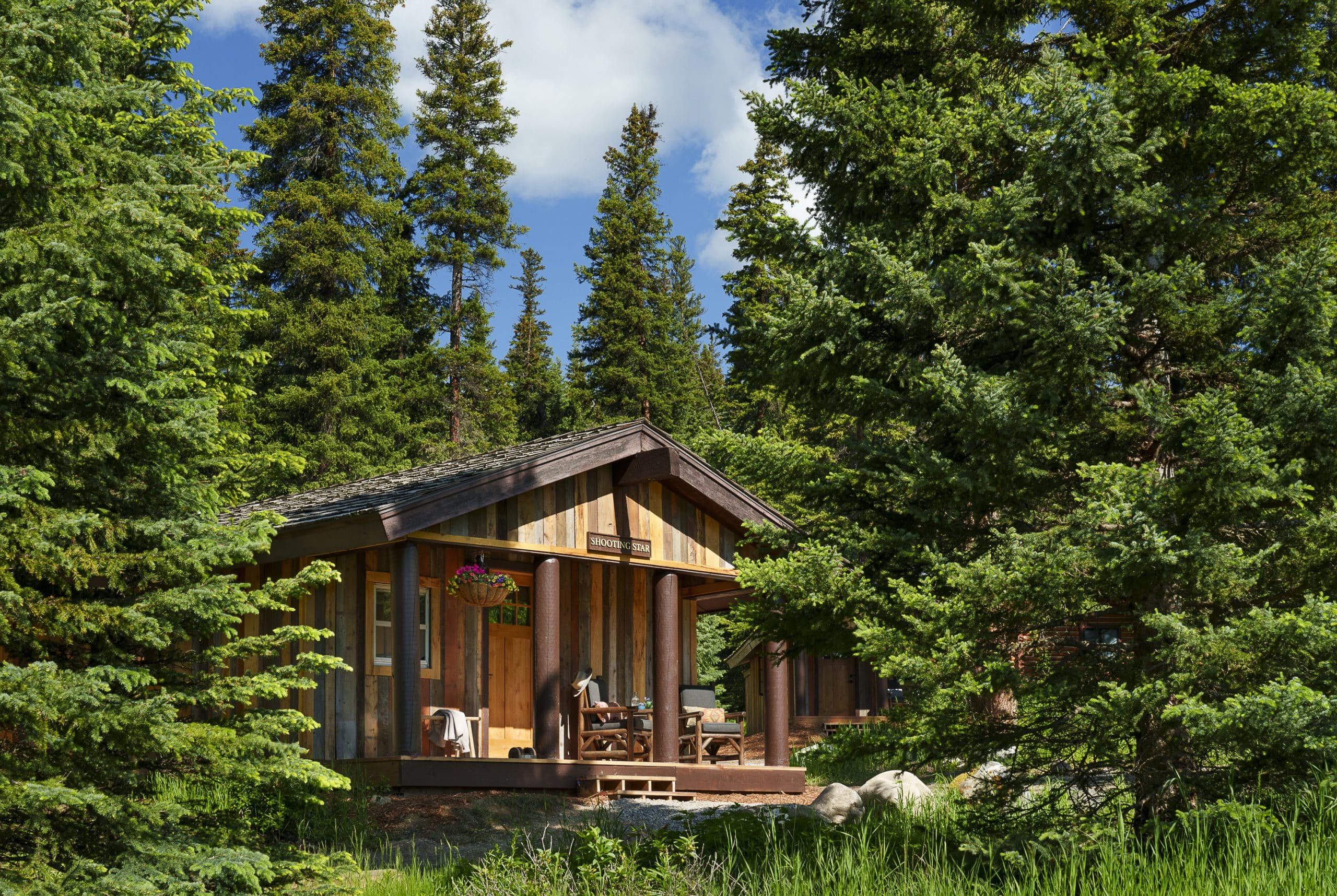 | LMR23b 29 10in scaled