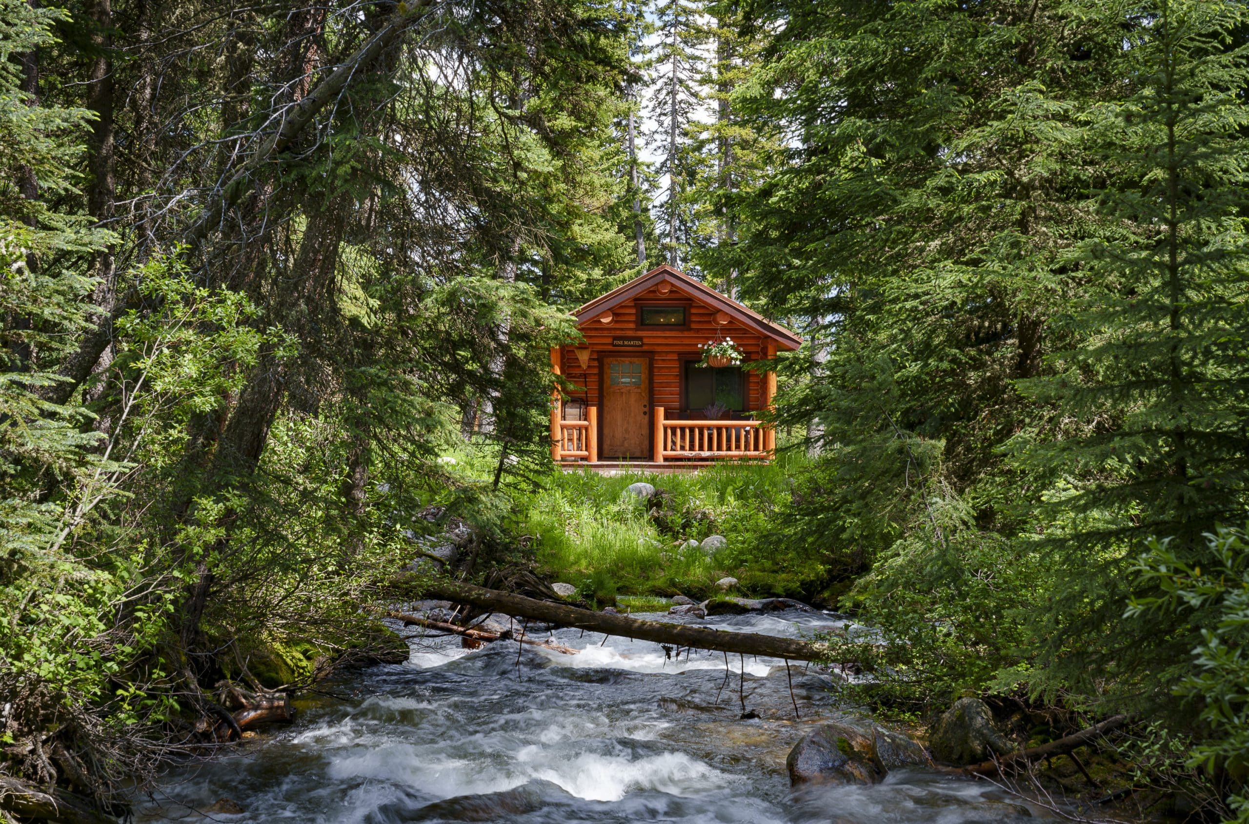 | LMR23b 45 10in 1 scaled