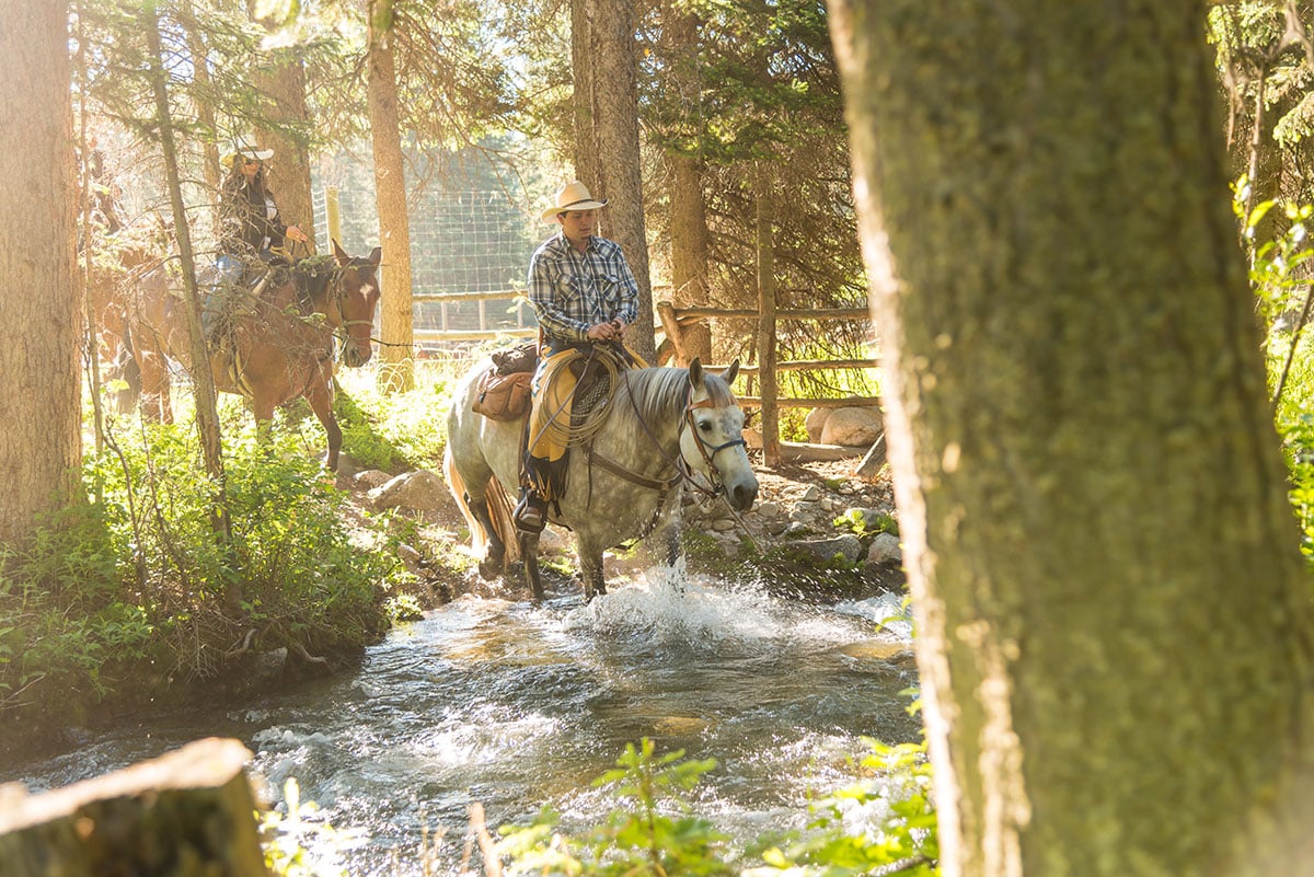 | LMR Horseback Riding