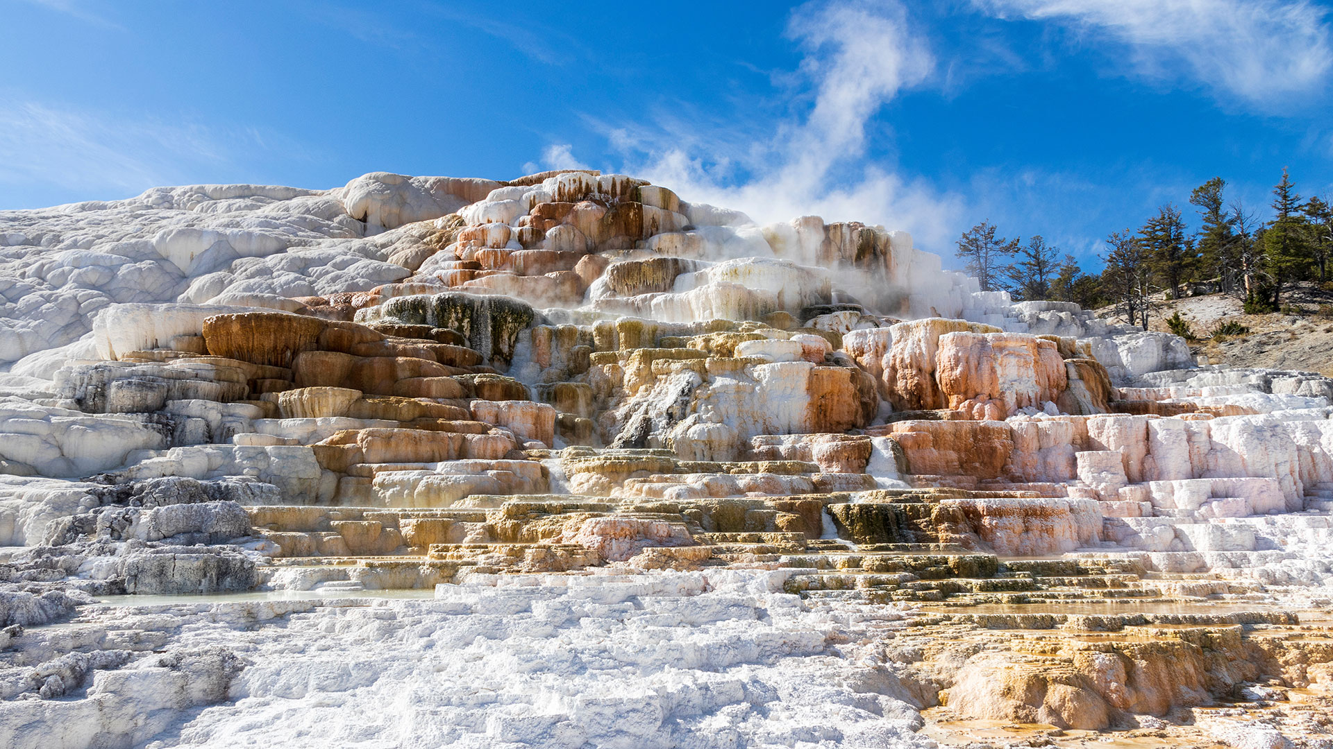Mammoth Hot Springs Yellowstone