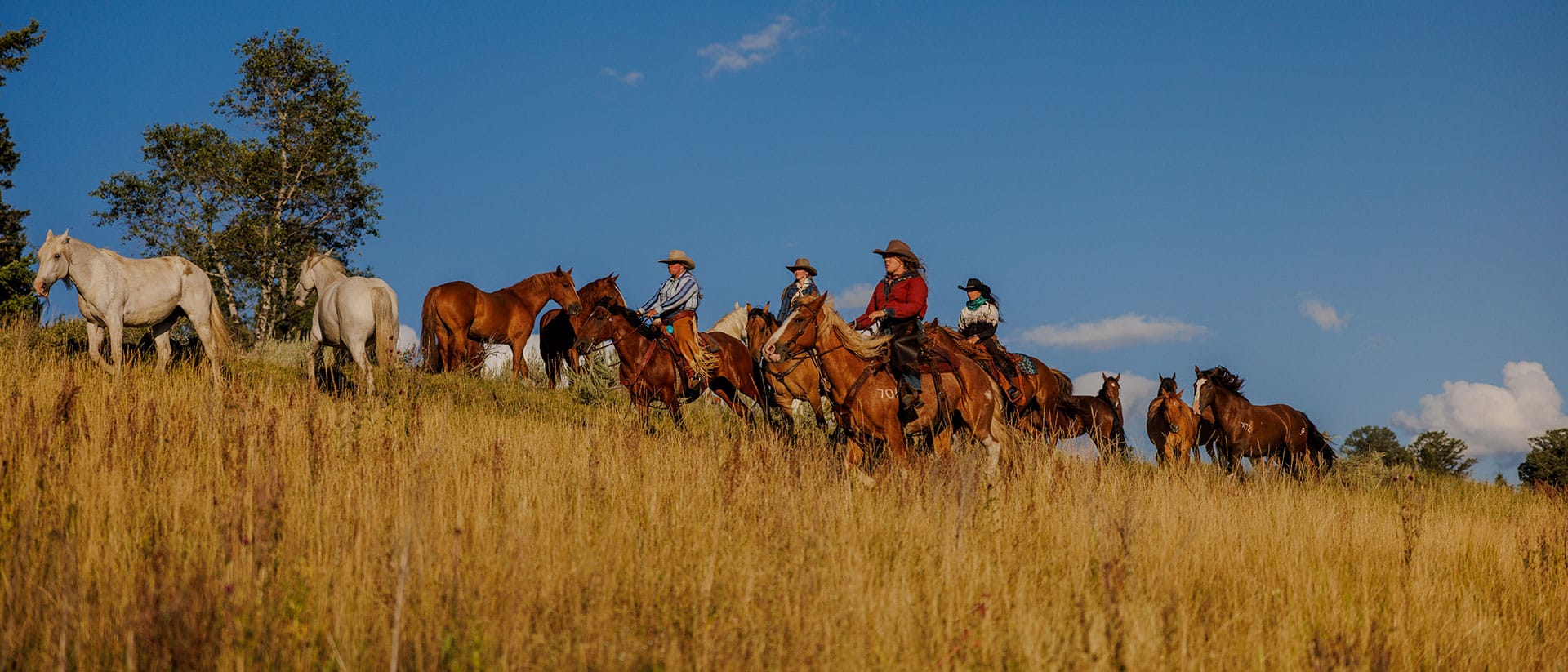 | horseback riding