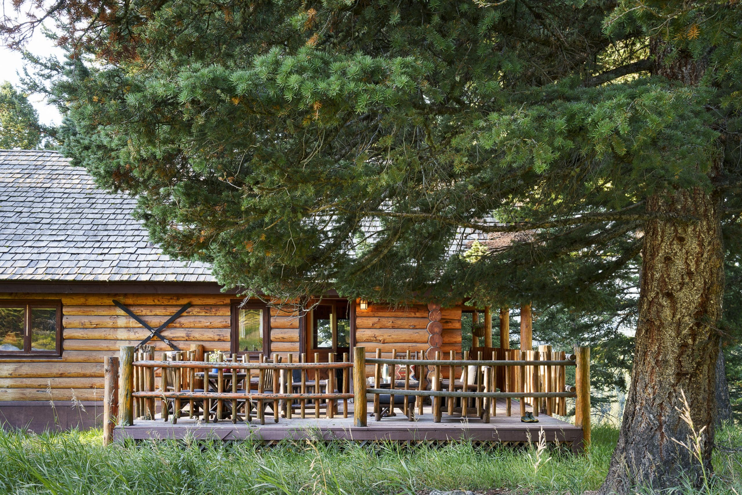 | DFC 16 10in scaled 1