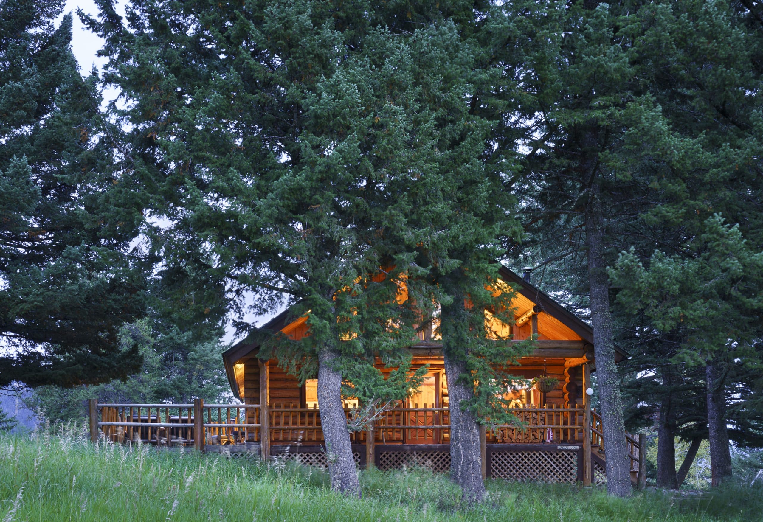 | DFC 19 10in scaled 1