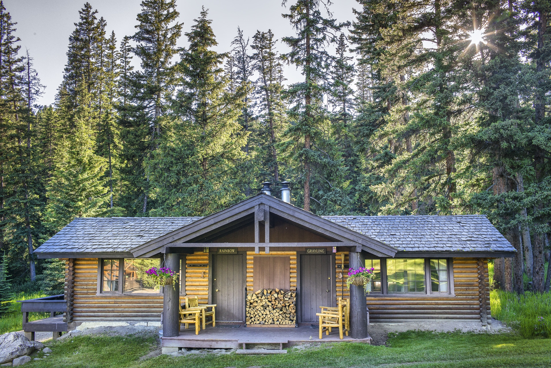 | Rainbow Grayling 2 1