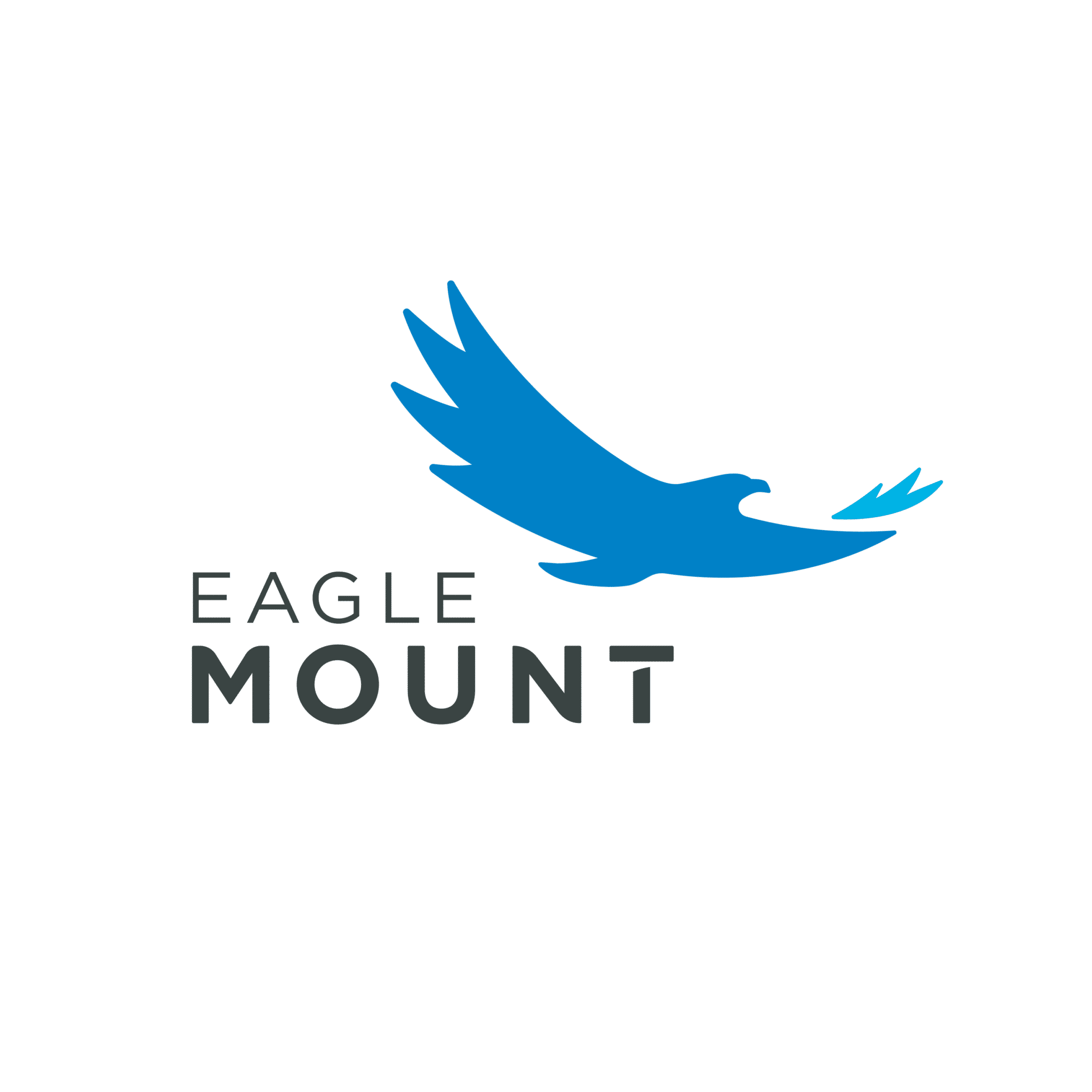 | high quality Eagle Mount Logo 2020