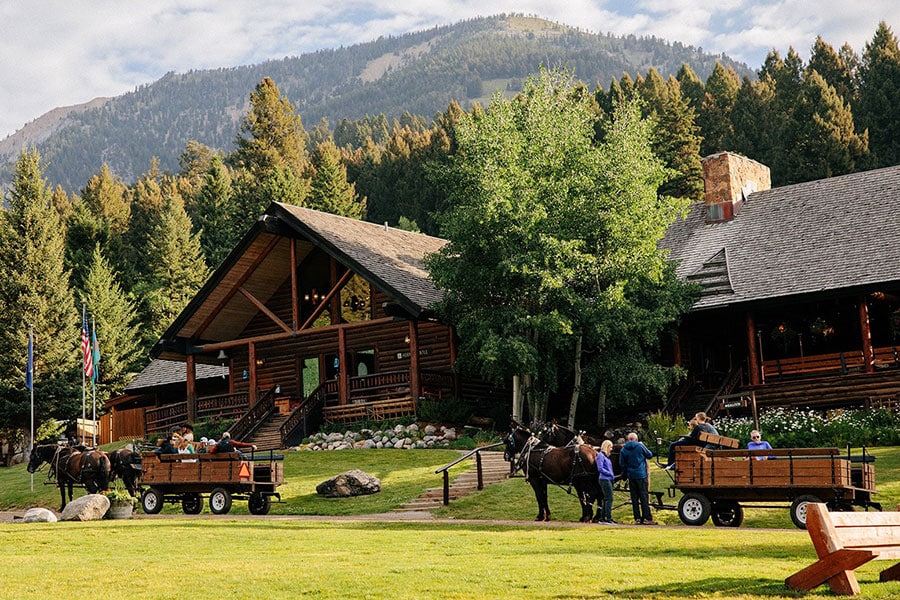 | Horse Drawn Wagons