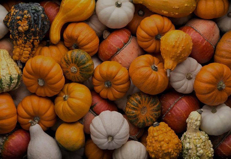 Big Sky Thanksgiving Big Sky Thanksgiving