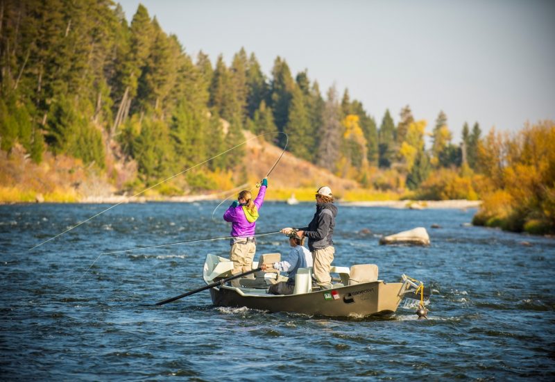 Madison River Fly Fishing Madison River Fly Fishing