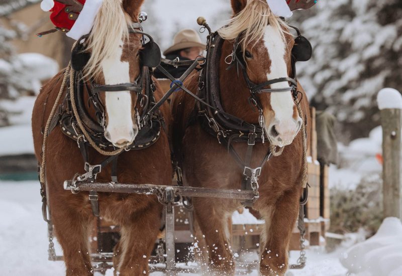 Lone-Mountain-Ranch-winter-2019-teri-b-photography-4366 Lone-Mountain-Ranch-winter-2019-teri-b-photography-4366